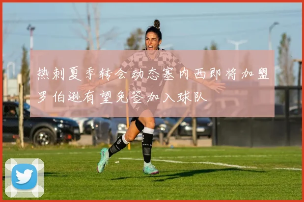 热刺夏季转会动态塞内西即将加盟罗伯逊有望免签加入球队
