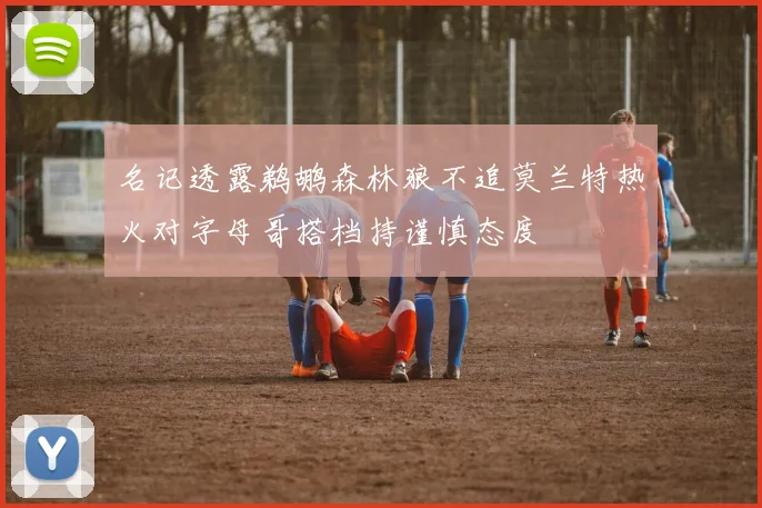 名记透露鹈鹕森林狼不追莫兰特热火对字母哥搭档持谨慎态度